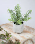 Load image into Gallery viewer, Potted Faux Rosemary Bush
