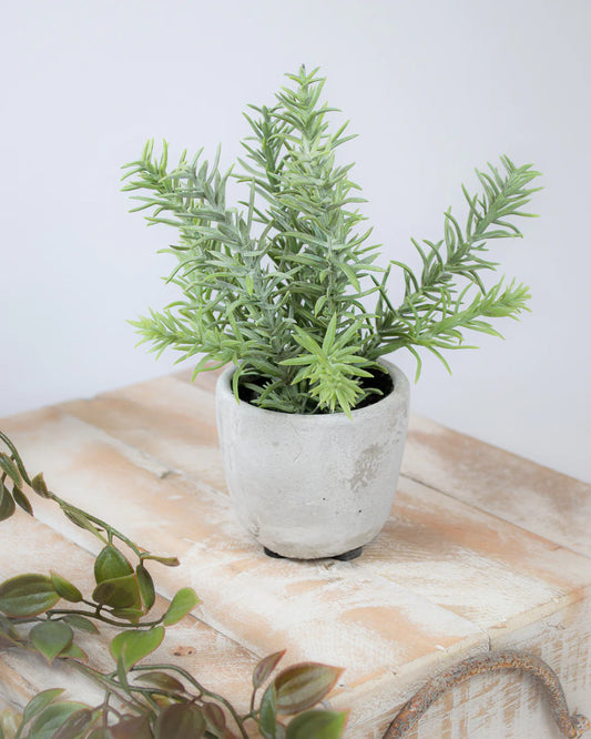 Potted Faux Rosemary Bush