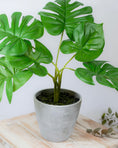 Load image into Gallery viewer, Faux Cheese Plant In Pot
