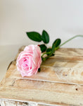 Load image into Gallery viewer, Pastel Pink Tea Rose Stem
