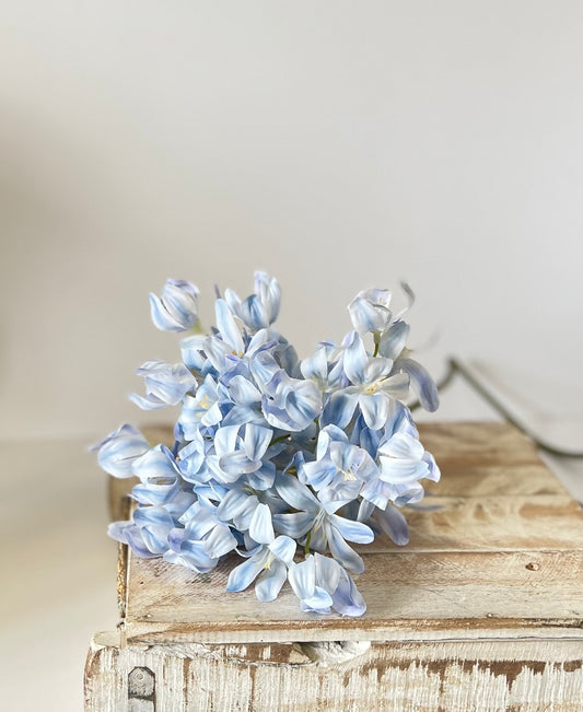 Blue Agapanthus Stem