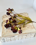 Load image into Gallery viewer, Chocolate Alstroemeria Lily Spray
