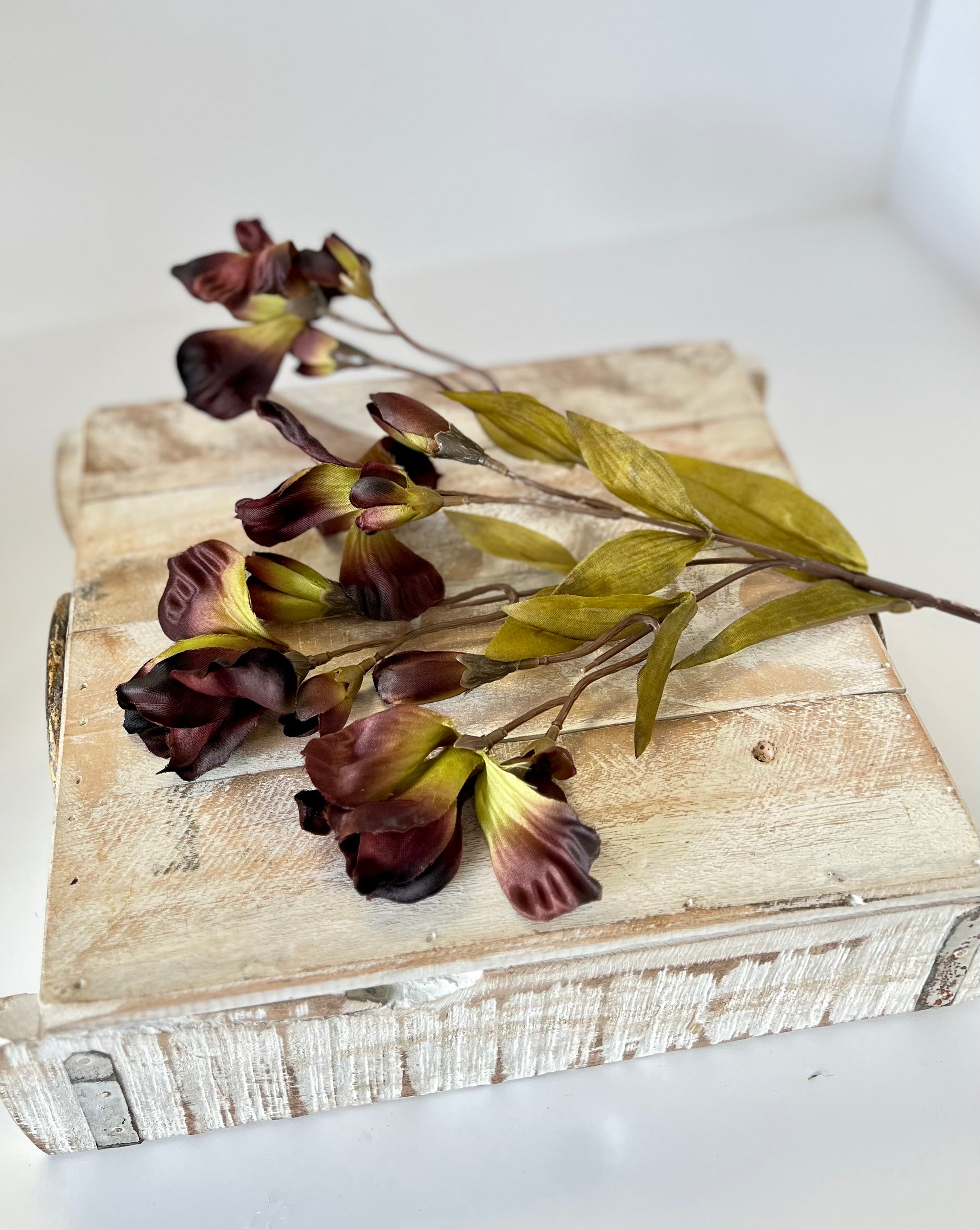 Chocolate Alstroemeria Lily Spray