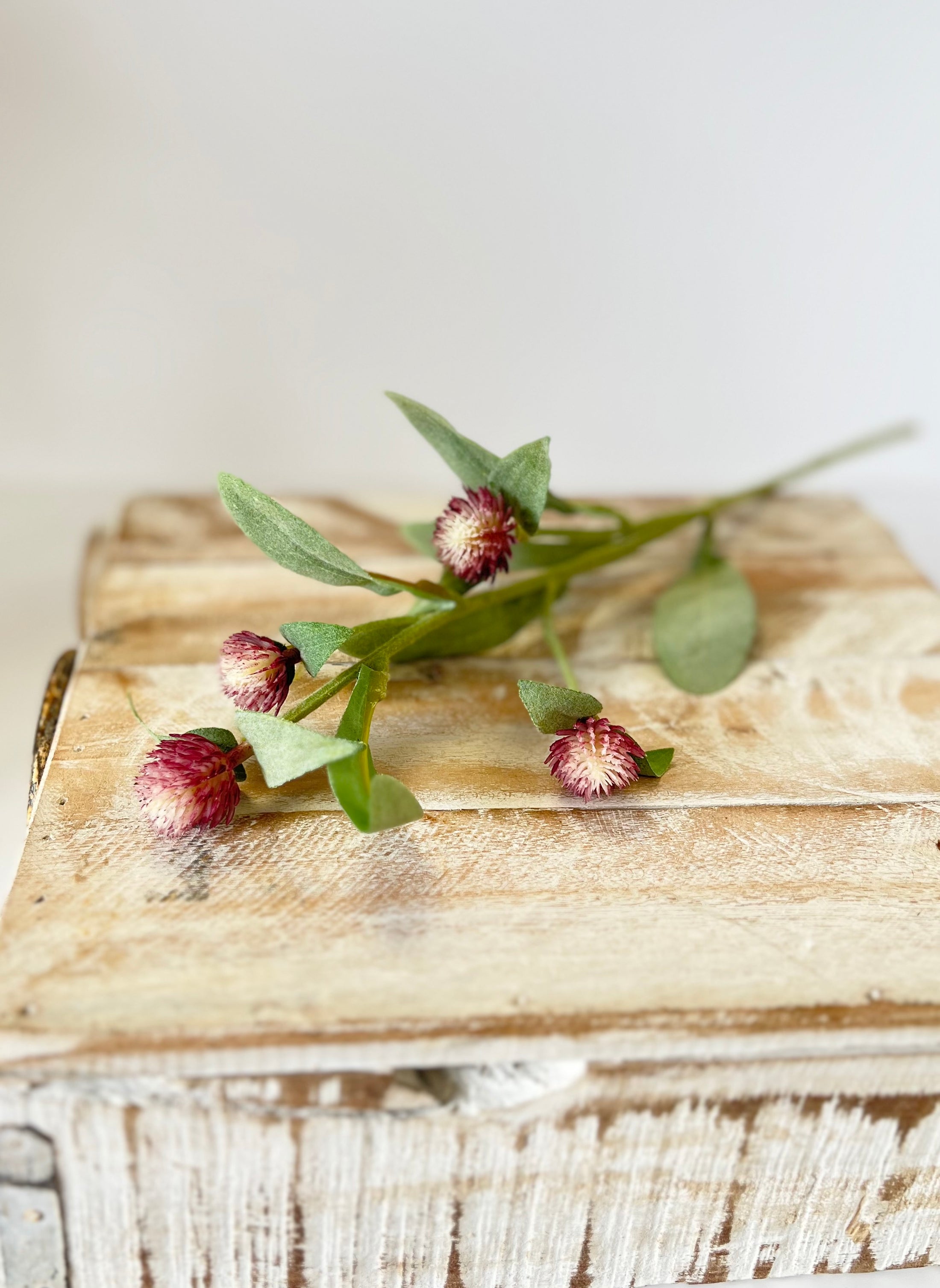 Globe Amaranth Stem (2 colours)