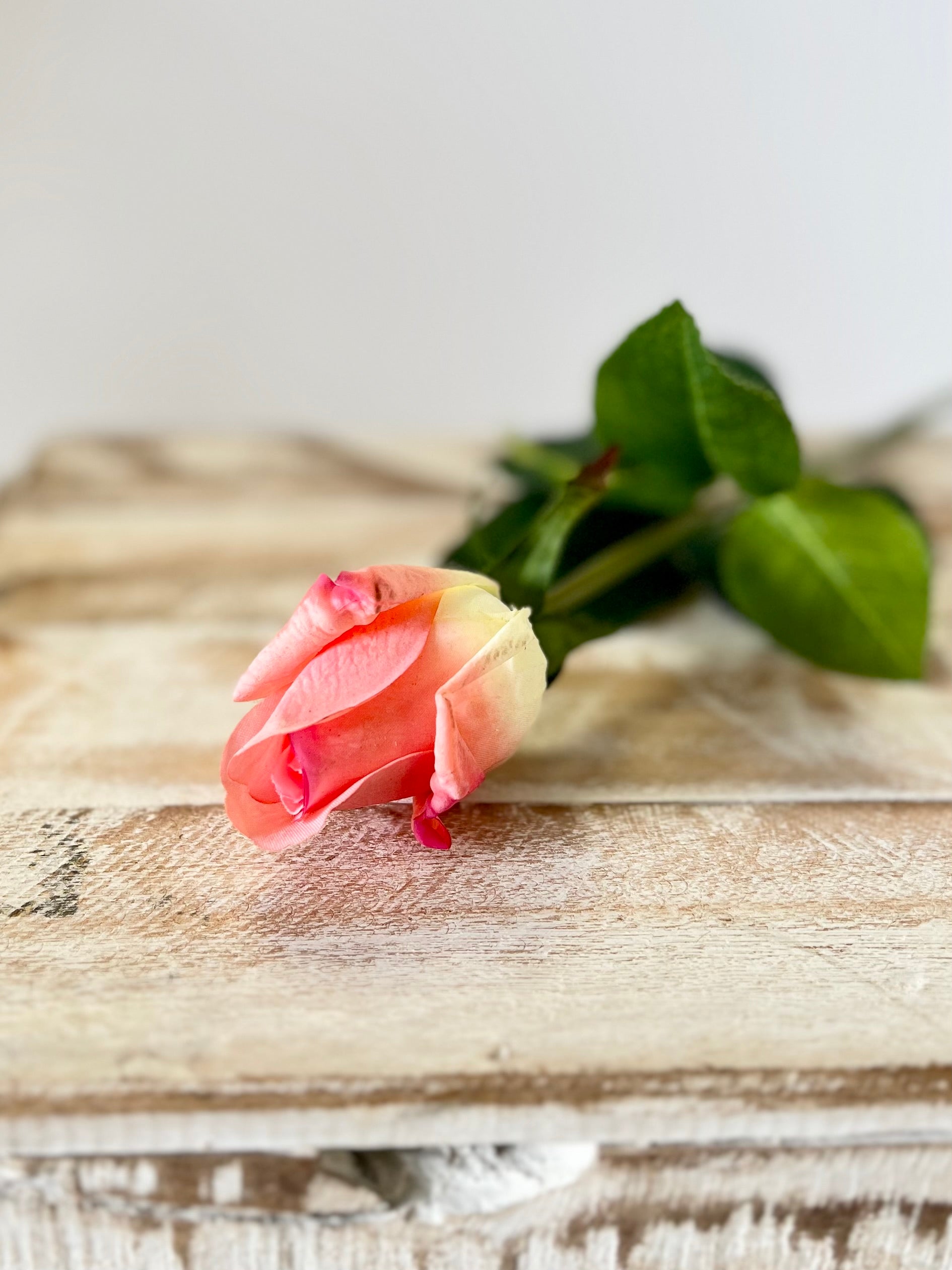 Pink Closed Rose Bud Stem