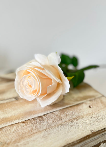 Apricot Rose Stem
