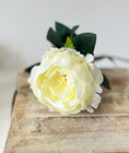 Load image into Gallery viewer, Cream Peony Stem
