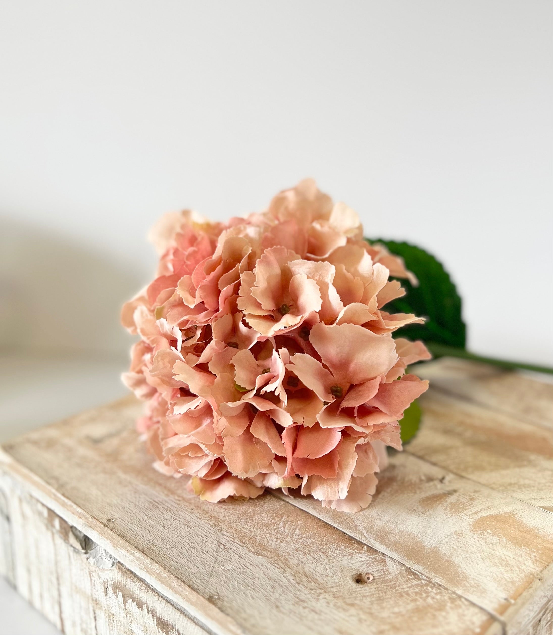 Blush Pink Hydrangea Stem