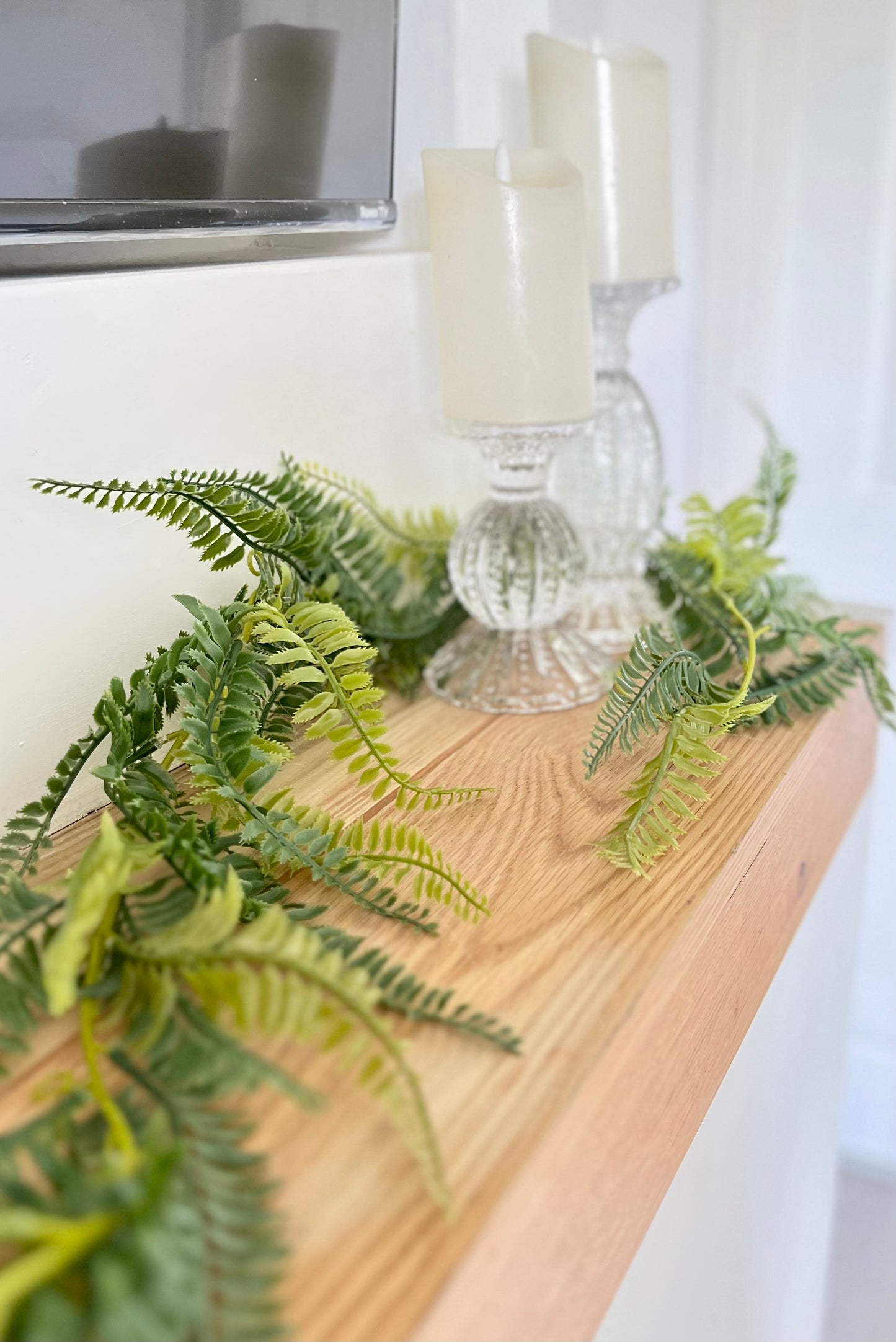 Fern Garland
