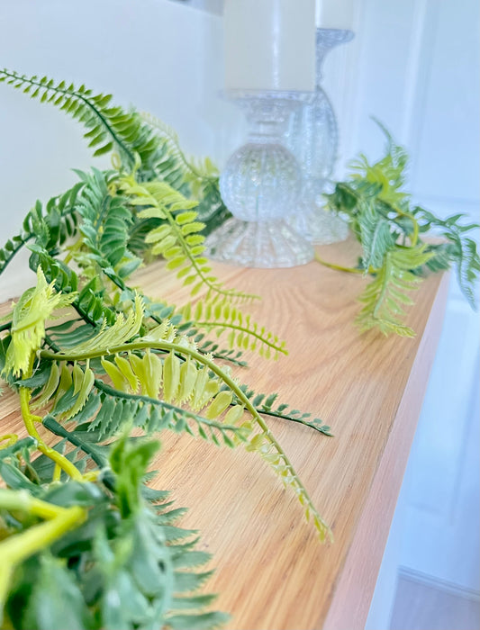 Fern Garland