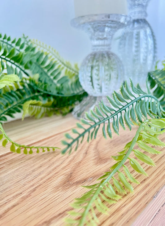 Fern Garland