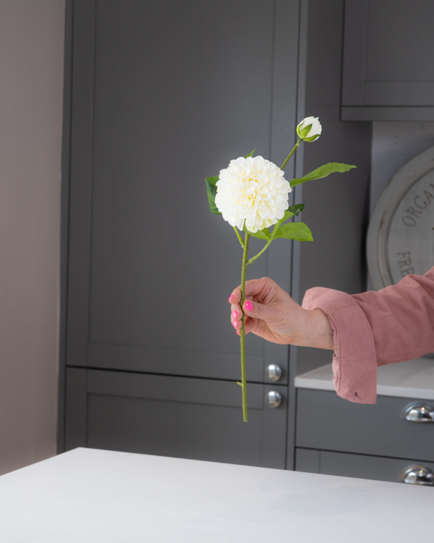 Pompon Dahlia Stem - Ivory