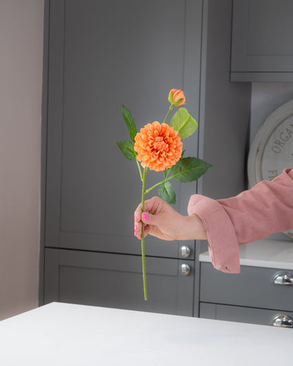 Pompon Dahlia Stem - Tangerine
