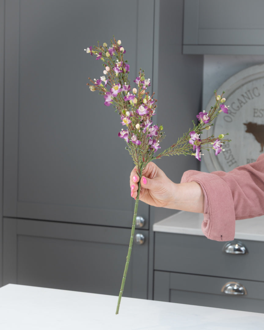 Waxflower Spray - Heather