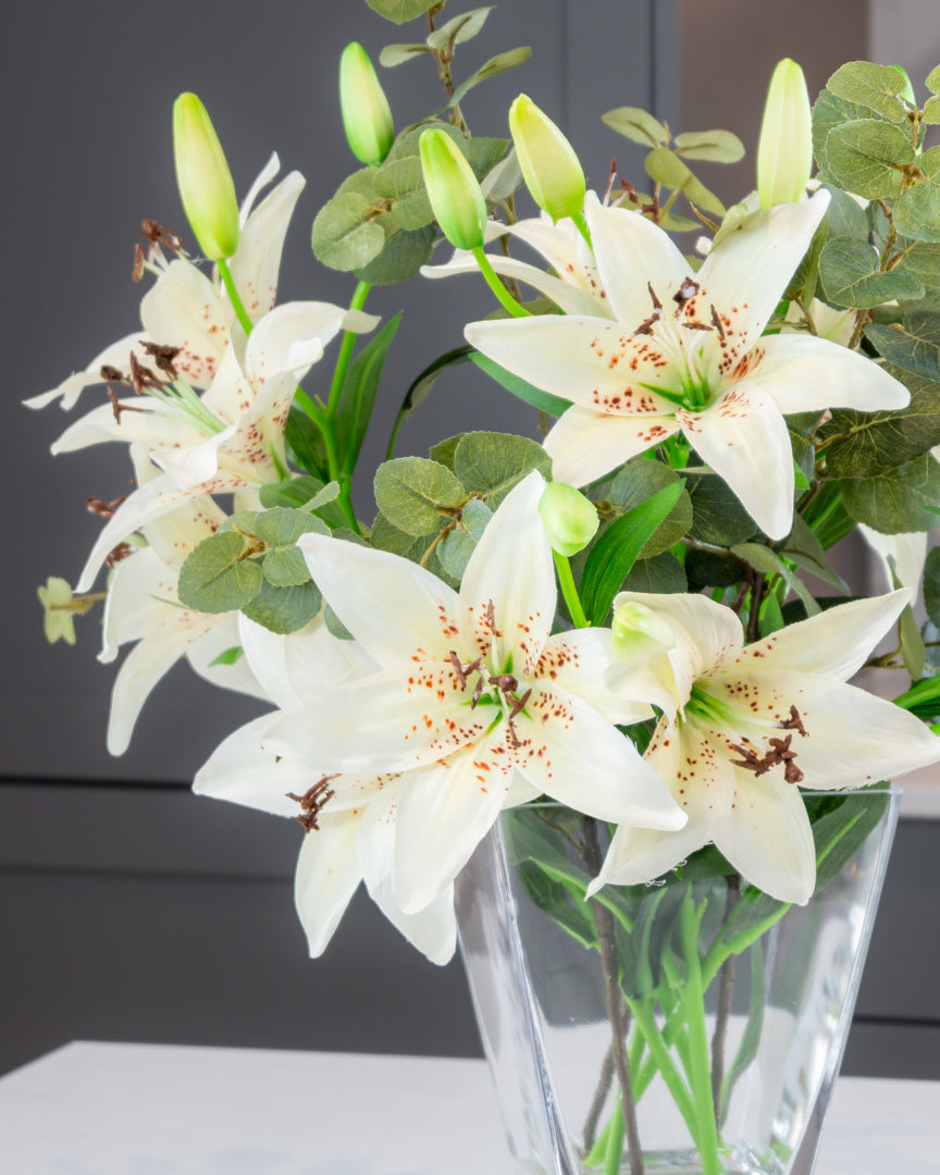 White Lily and Eucalyptus in Vase