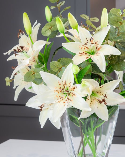 White Lily and Eucalyptus in Vase