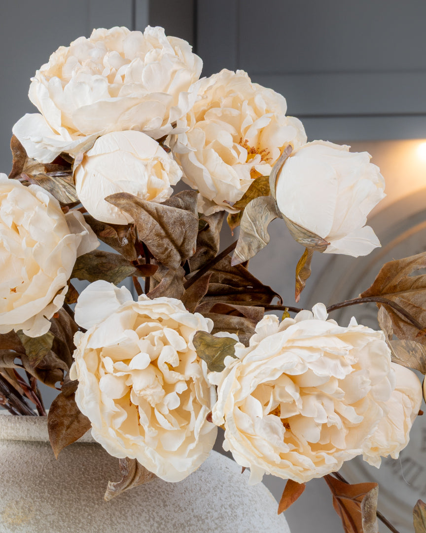 Autumn Peony Dried Spray - Cream