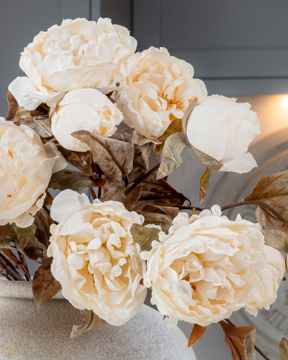 Autumn Peony Dried Spray - Cream