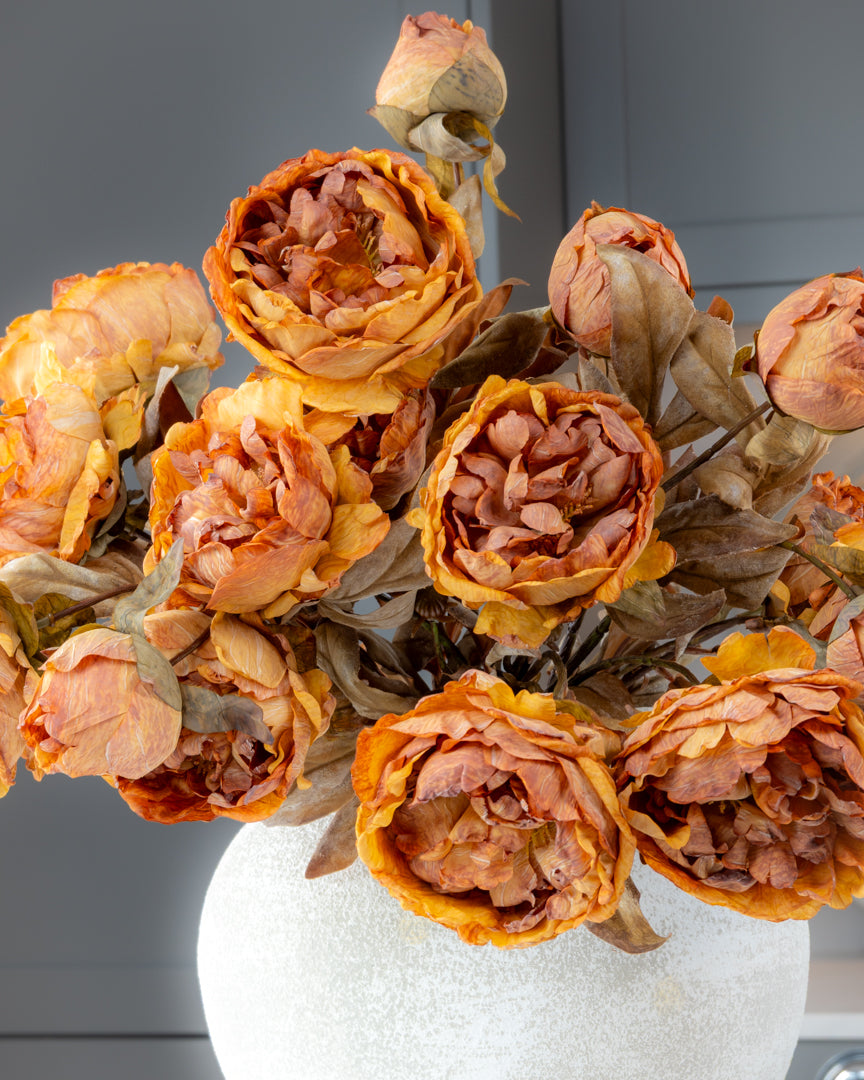 Autumn Peony Dried Spray - Honey