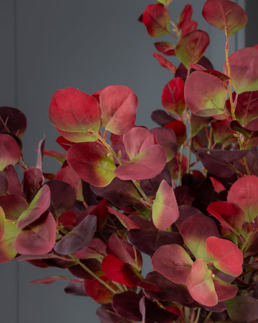 Ruby Dollar Eucalyptus Spray