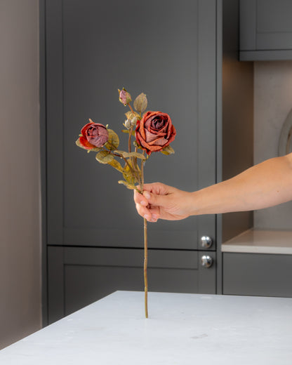 Autumn Dried Rose Stem- Wine
