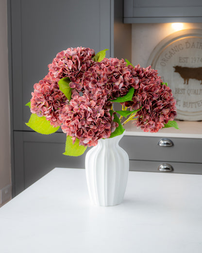 Hydrangea - Autumn Red
