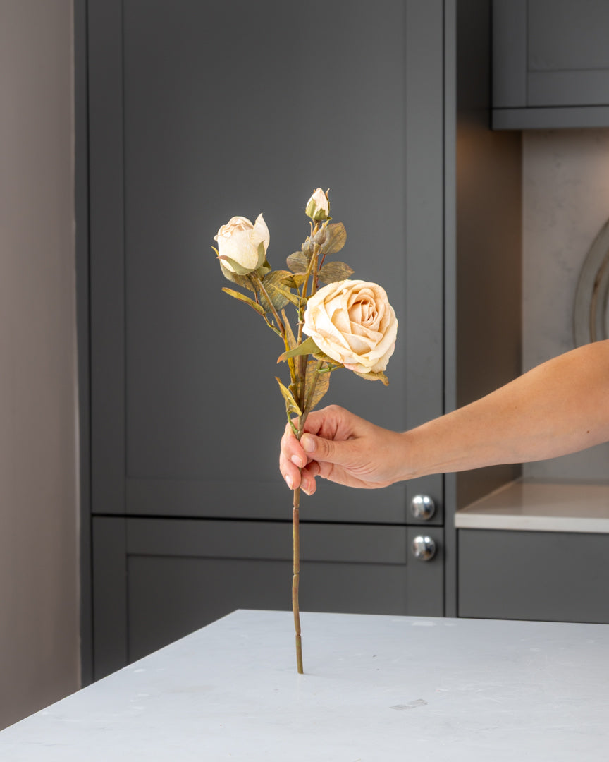 Autumn Dried Rose Stem - Cream