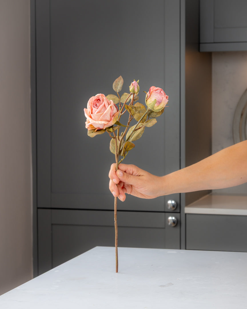 Autumn Dried Rose Stem - Dusty Pink