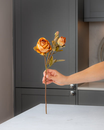 Autumn Dried Rose Stem - Honey