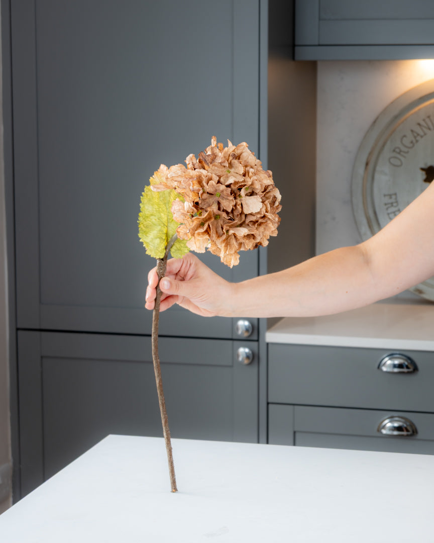 Autumn Dried Hydrangea (3 colours)
