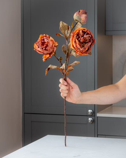 Autumn Peony Dried Spray - Cinnamon