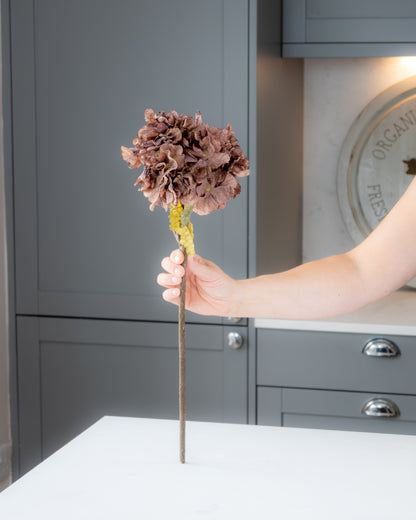 Autumn Dried Hydrangea (3 colours)