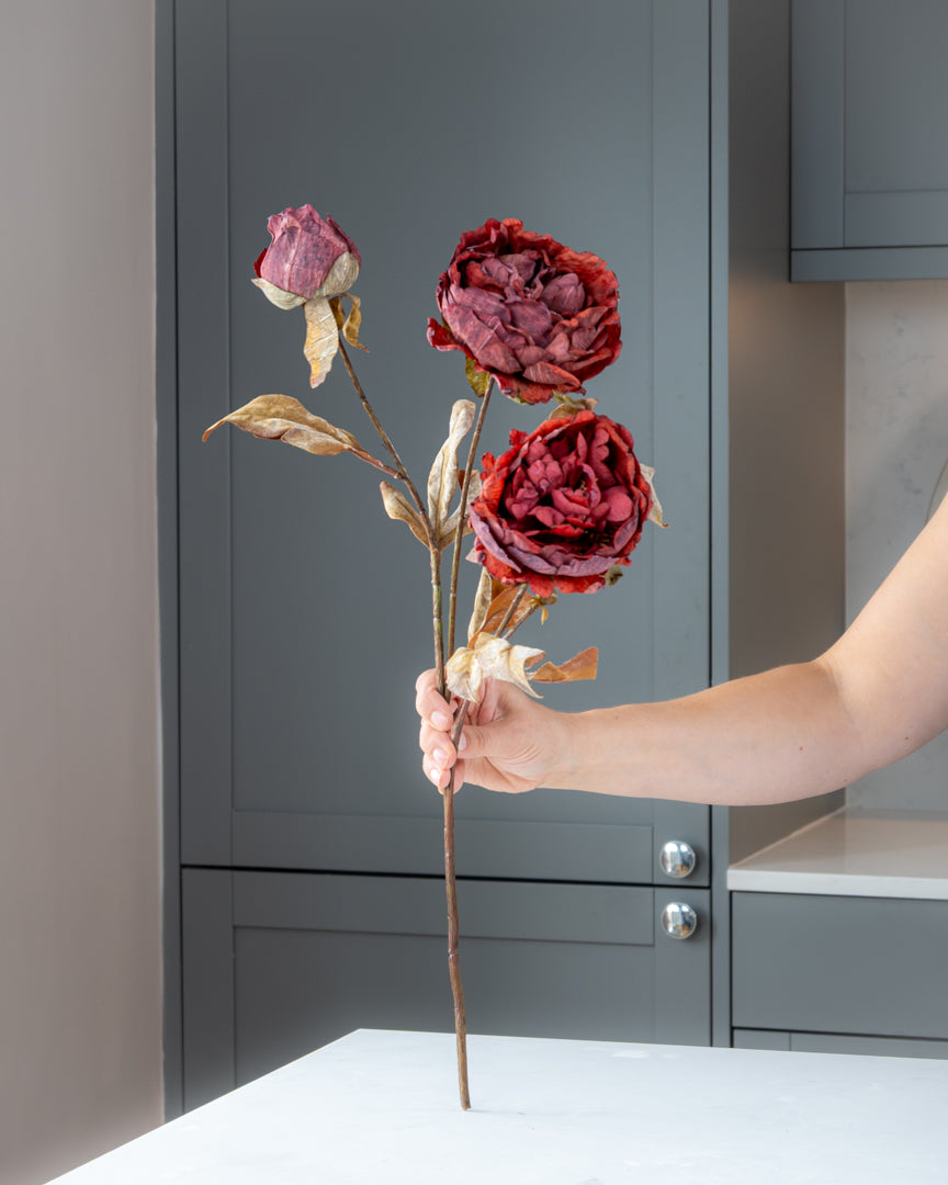 Autumn Peony Dried Spray - Wine