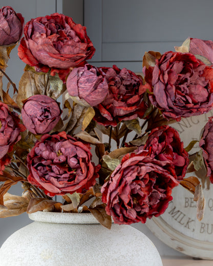 Autumn Peony Dried Spray - Wine