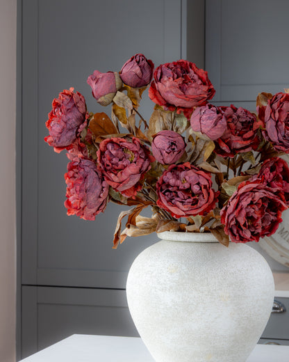 Autumn Peony Dried Spray - Wine