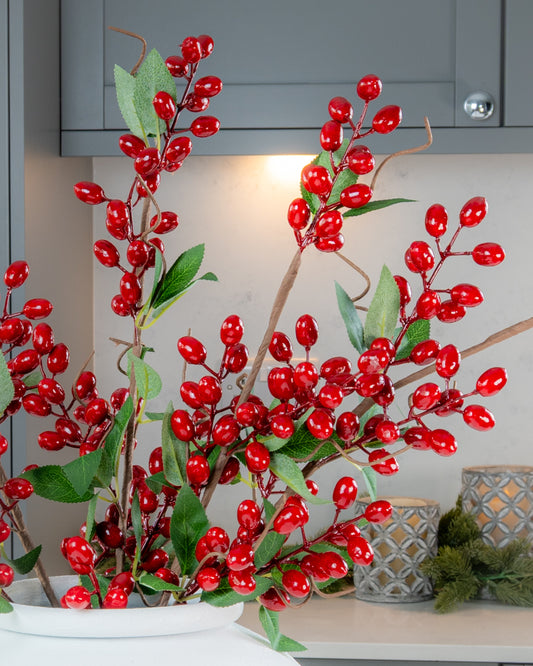 Hawthorn Berry Branch