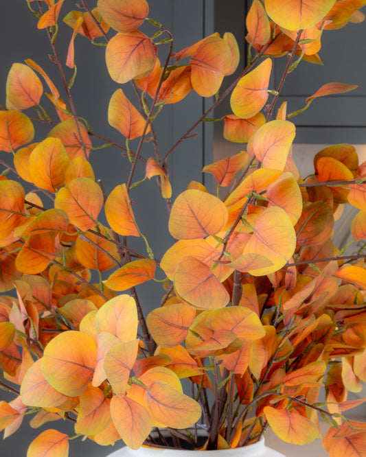 Large Autumn Eucalyptus Branch