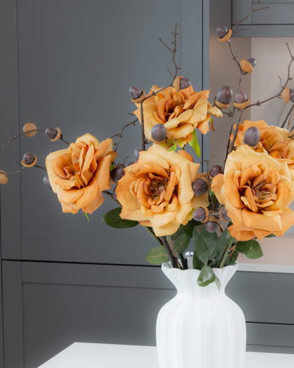 Autumn Garden Rose - Honey