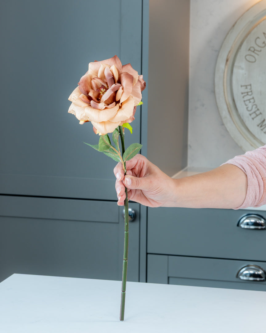 Autumn Garden Rose - Mink
