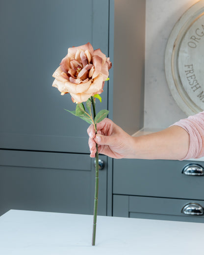 Autumn Garden Rose - Mink
