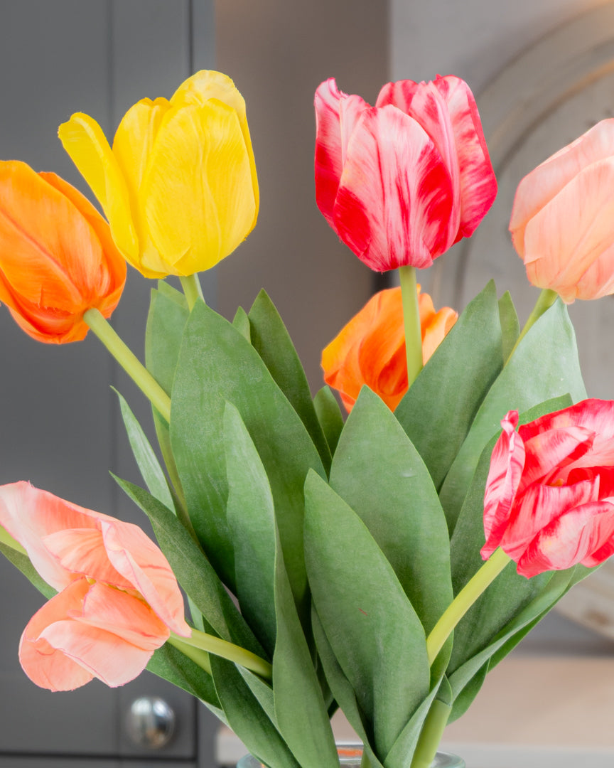 Rainbow of Tulips in Vase