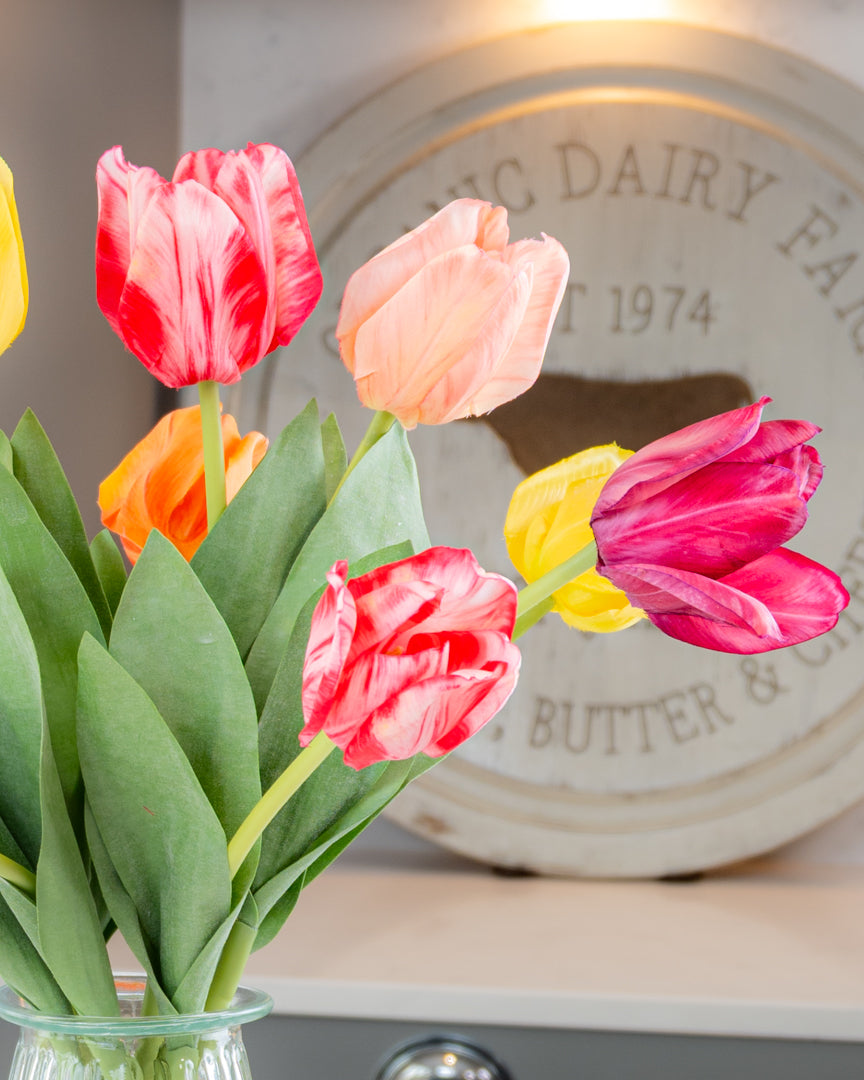 Rainbow of Tulips in Vase