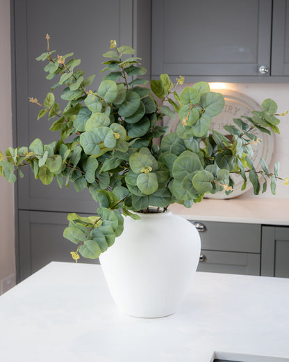 Luxury Eucalyptus Spray