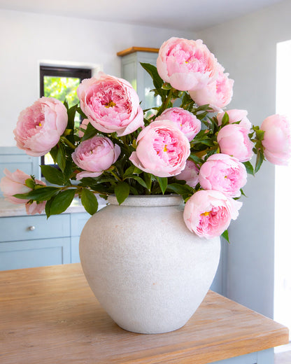 Deluxe Blush Peony Bouquet