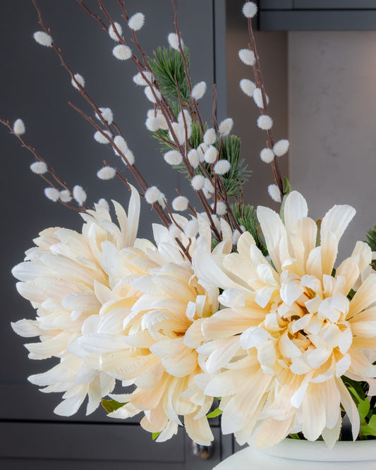 Chrysanthemum - Cream