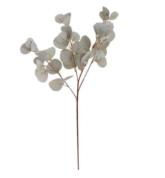 Silver Dollar Eucalyptus Stem