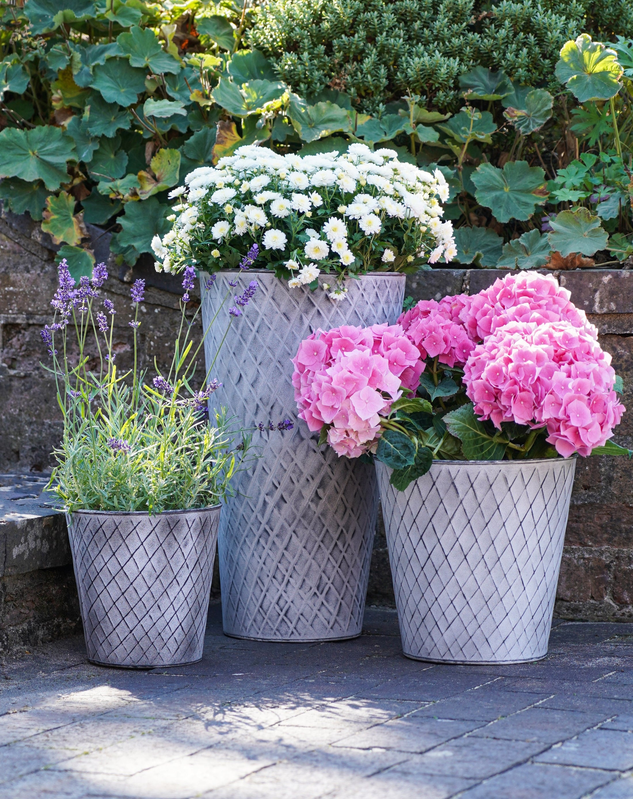 Cotswolds Zinc Planters (3 sizes)