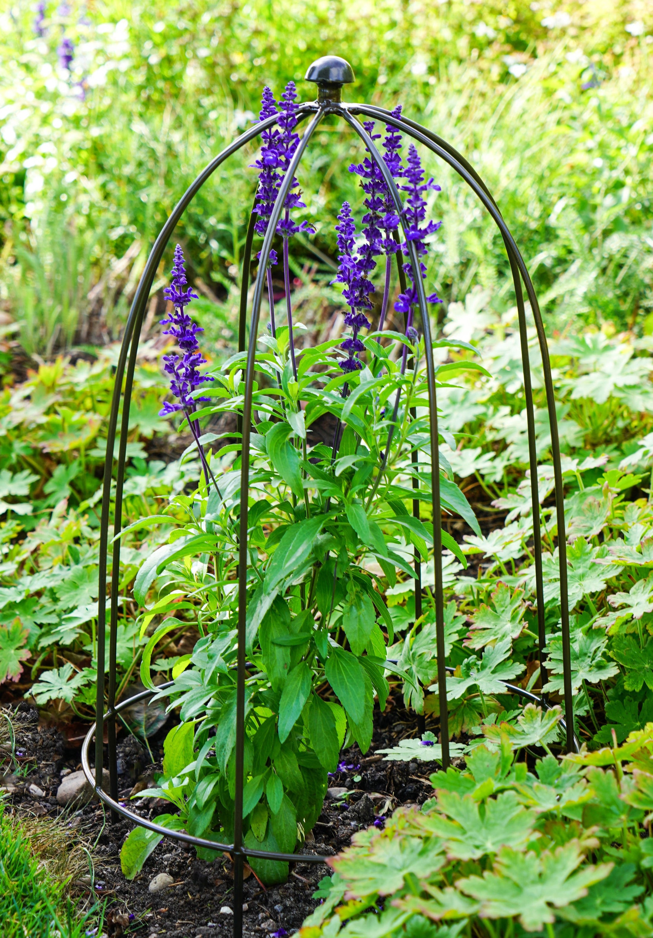 Outdoor Plant Support Dome