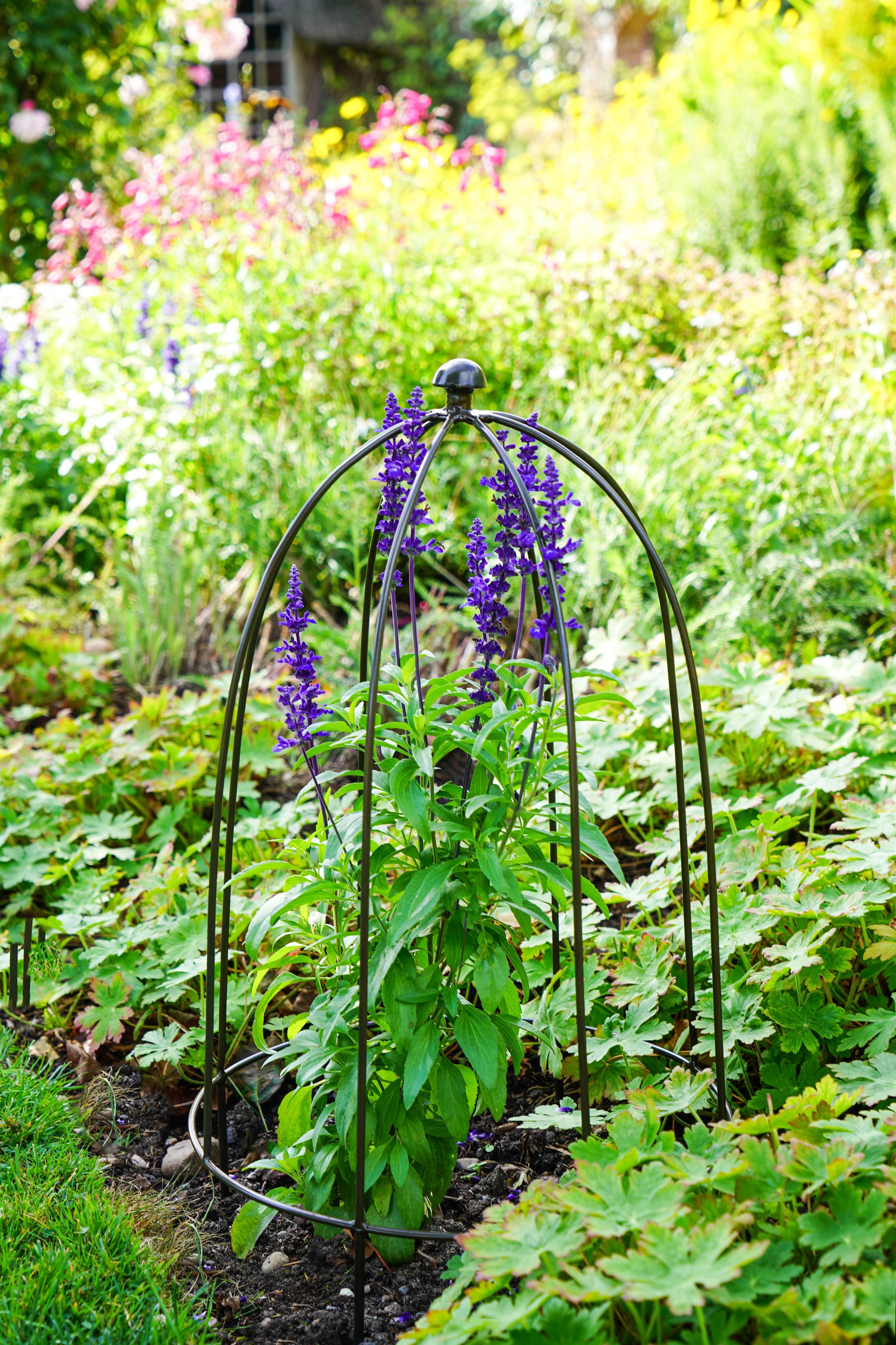 Outdoor Plant Support Dome