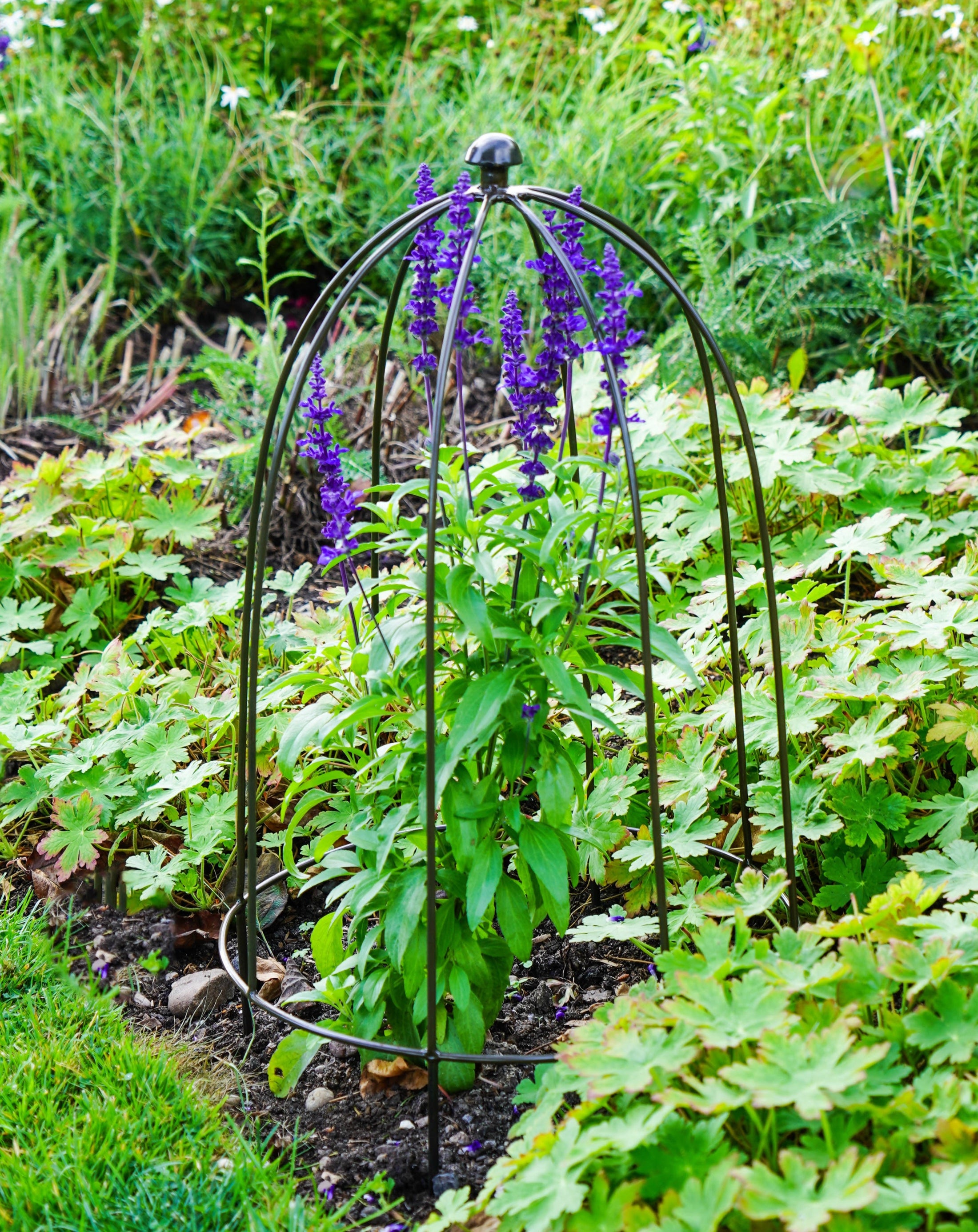 Outdoor Plant Support Dome